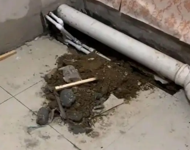苍溪卫生间漏水检测哪家好